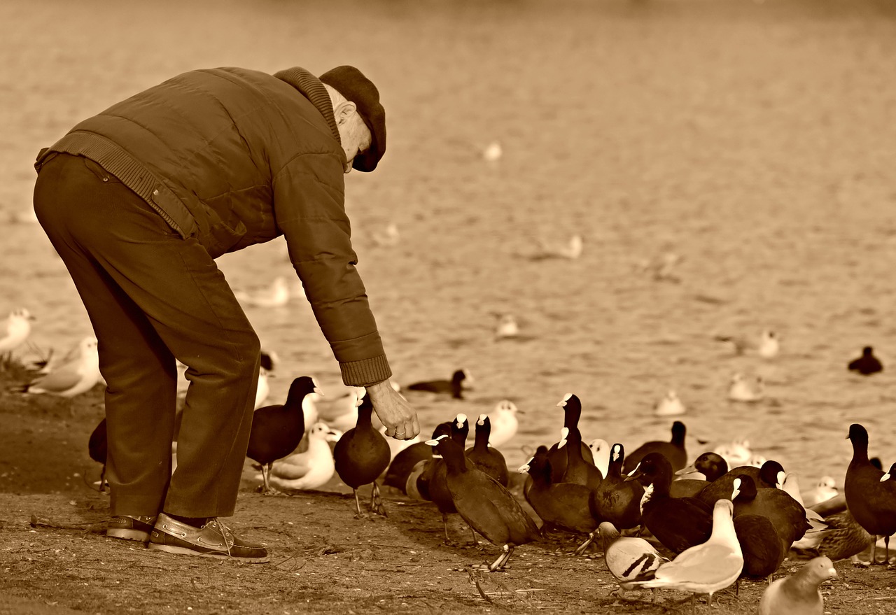 Leadership Advice: Leaders Don't feed ducks